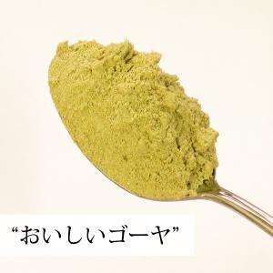 おいしいゴーヤ 600g ゴーヤ 粉末 ゴーヤ...の詳細画像4