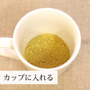 おいしいゴーヤ 600g ゴーヤ 粉末 ゴーヤ...の詳細画像5