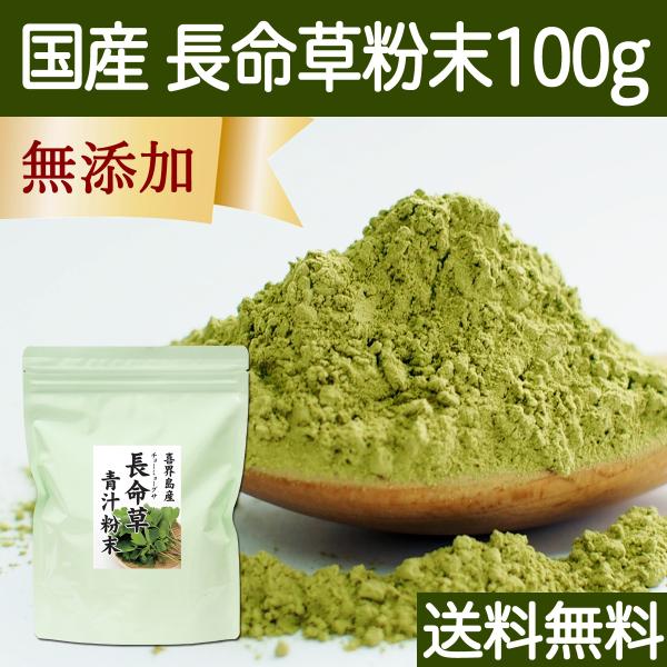 長命草粉末 100g 長命草 パウダー 青汁 粉末 ボタンボウフウ 送料無料