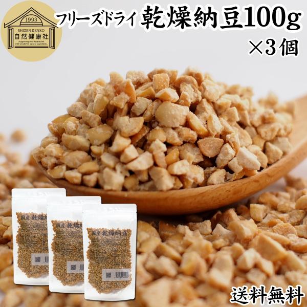 乾燥納豆 100g×3個 ドライ納豆 ひきわり納豆 無添加 犬 国産 送料無料