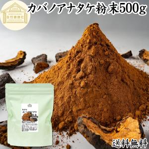 カバノアナタケ粉末 500g カバノアナタケ茶 チャーガ茶 チャガ茶 送料無料