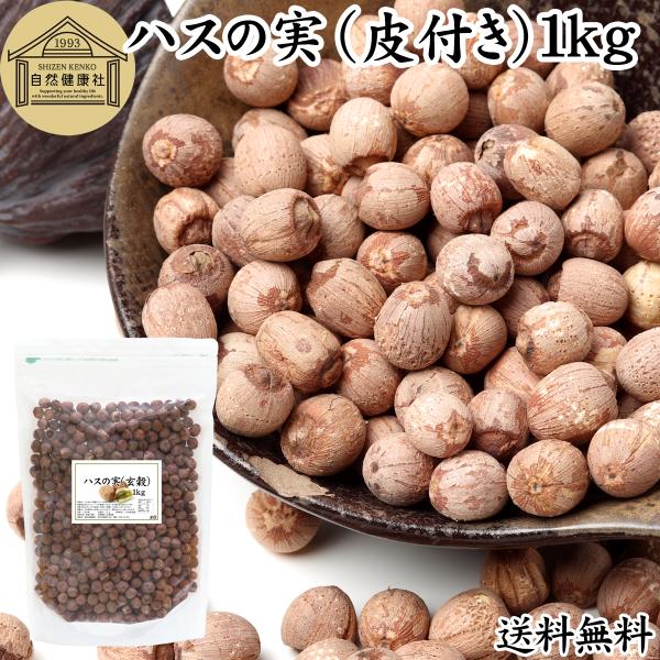 ハスの実 玄穀 1kg 蓮の実 はすの実 ドライ 芯入り 無添加 送料無料