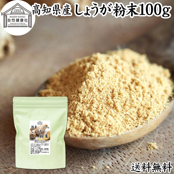 しょうが 粉末 100g 生姜 パウダー ショウガ 粉末 国産 送料無料