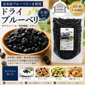 ブルーベリー 1kg 乾燥 ドライフルーツ 北米産の詳細画像1