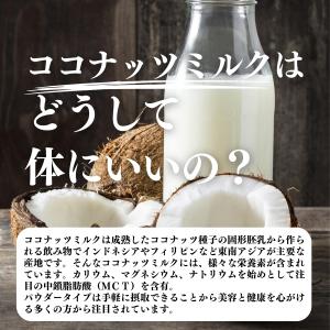ココナッツミルクパウダー 1kg ココナッツオ...の詳細画像3