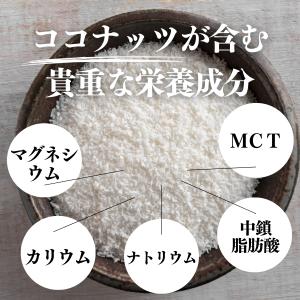 ココナッツミルクパウダー 1kg ココナッツオ...の詳細画像5
