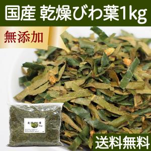 乾燥 びわ葉 1kg 国産 びわの葉 枇杷葉 びわ葉茶や入浴剤の材料に 送料無料