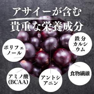 アサイーパウダー 30g フリーズドライ 粉末...の詳細画像5