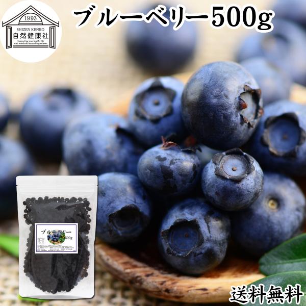 ブルーベリー 500g ドライ 乾燥 アントシアニン ポリフェノール