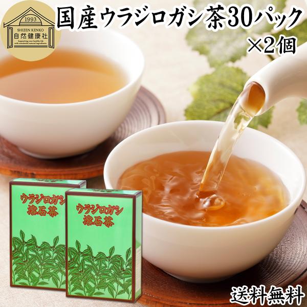 ウラジロガシ茶 30パック×2個 徳島県産 農薬不使用 ティーパック 国産 送料無料