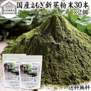 よもぎ 粉末 30本×2個 よもぎ パウダー よもぎ茶 ヨモギ粉 個包装 送料無料｜青汁・健康粉末の健康生活研究所