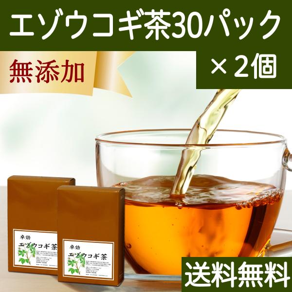 エゾウコギ茶 30パック×2個 エゾウコギ ティーパック サプリ 漢方 送料無料