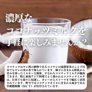 ココナッツミルクパウダー100g×2個 ココナ...の詳細画像2