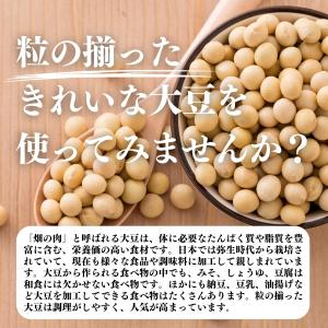 大豆 1kg×2個 国産 北海道産 トヨマサリ...の詳細画像3