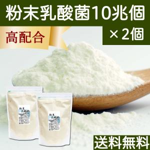 粉末乳酸菌 10兆個 1kg×2個 乳酸菌 サプリ サプリメント フェカリス菌 送料無料｜hl-labo