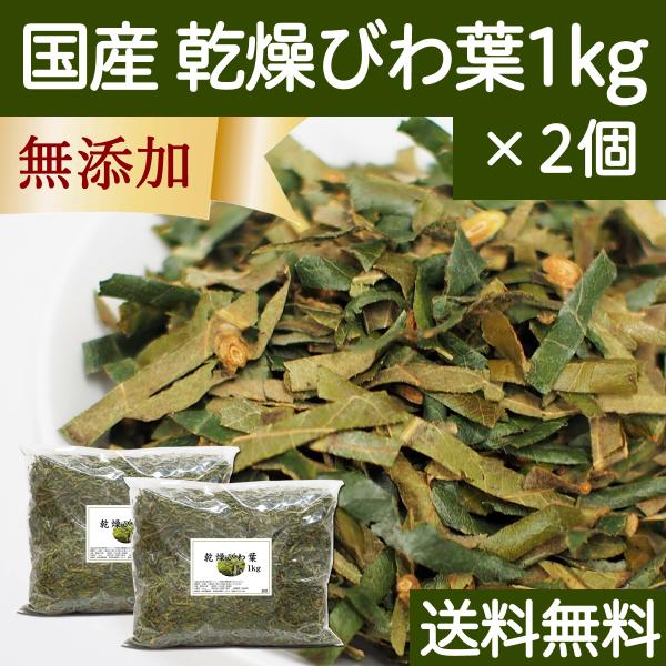 乾燥 びわ葉 1kg×2個 国産 びわの葉 枇杷葉 びわ葉茶や入浴剤の材料に 送料無料