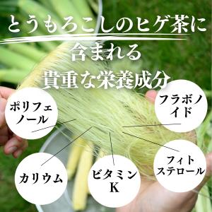 とうもろこしのひげ茶 32パック×2個 トウモ...の詳細画像4