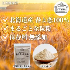 全粒粉 春よ恋 1kg×2個 来い 小麦粉 国...の詳細画像1