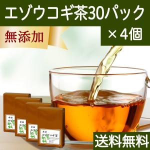 エゾウコギ茶 30パック×4個 エゾウコギ ティーパック サプリ 漢方 送料無料