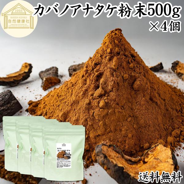 カバノアナタケ粉末 500g×4個 カバノアナタケ茶 チャーガ茶 チャガ茶