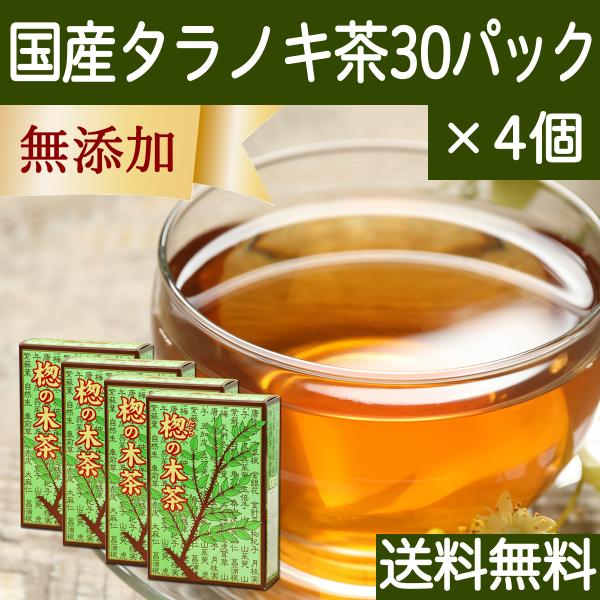 タラノキ茶 30パック×4個 国産 たらのき茶 タラの木茶 ティーパック 送料無料