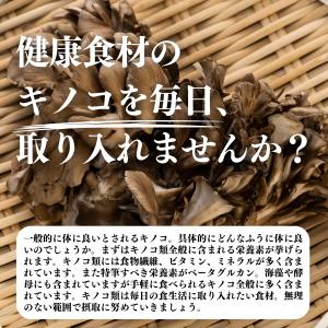 乾燥 舞茸 80g×4個 乾燥 まいたけ 舞茸...の詳細画像2