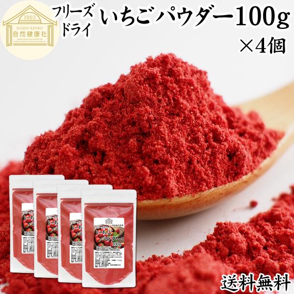 いちごパウダー 100g×4個 ストロベリー パウダー 粉末 無添加