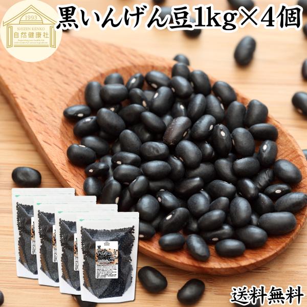 黒 いんげん豆 1kg×4個 ブラックタートル ブラックキドニー ビーンズ