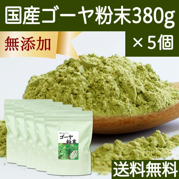 ゴーヤ粉末 380g×5個 ゴーヤ パウダー ゴーヤ茶 青汁 サプリ 送料無料