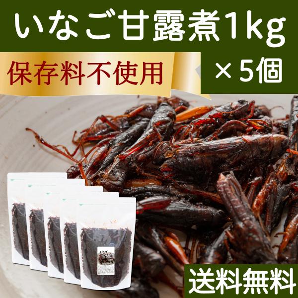 イナゴの佃煮 1kg×5個 いなご 甘露煮 珍味 昆虫食 小えび 食感 送料無料