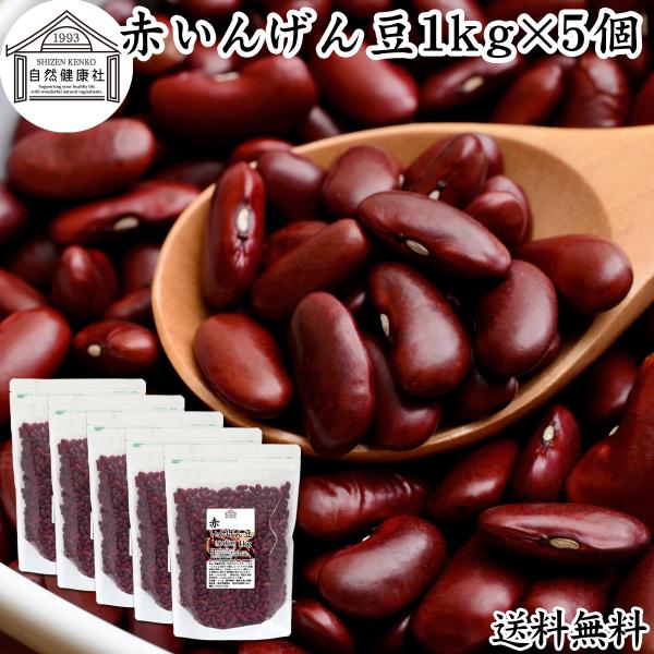 赤 いんげん豆 1kg×5個 金時豆 インゲン豆 レッドキドニー ビーンズ 送料無料