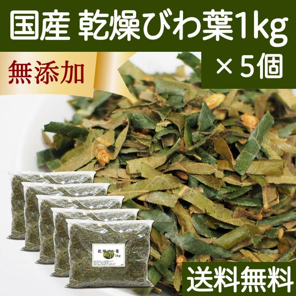 乾燥 びわ葉 1kg×5個 国産 びわの葉 枇杷葉 びわ葉茶や入浴剤の材料に 送料無料