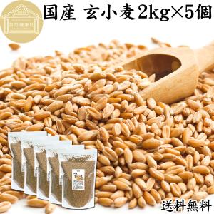 玄小麦 2kg×5個 全粒小麦 国産 北海道産 きたほなみ 業務用 食物繊維 送料無料｜hl-labo