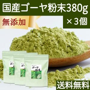 ゴーヤ粉末 380g×3個 ゴーヤ パウダー ゴーヤ茶 青汁 サプリ 送料無料｜青汁・健康粉末の健康生活研究所