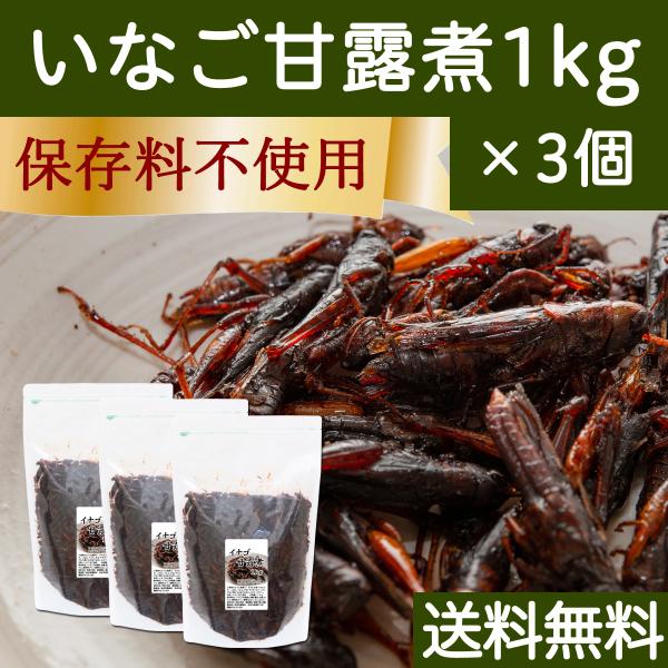 イナゴの佃煮 1kg×3個 いなご 甘露煮 珍味 昆虫食 小えび 食感 送料無料