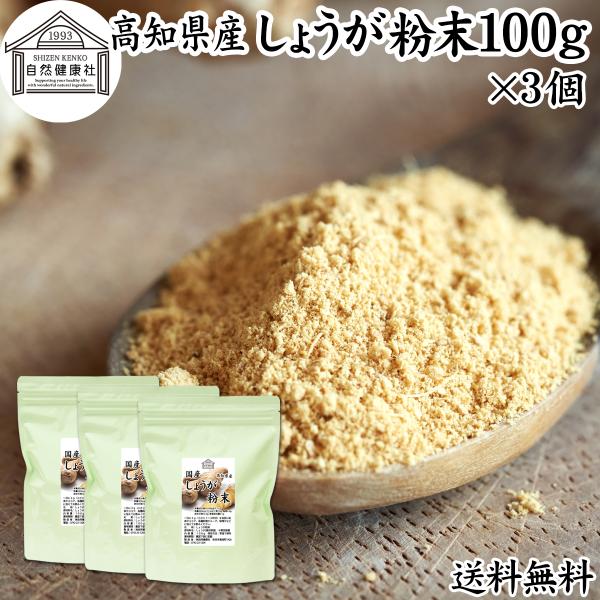 しょうが 粉末 100g×3個 生姜 パウダー ショウガ 粉末 国産 送料無料