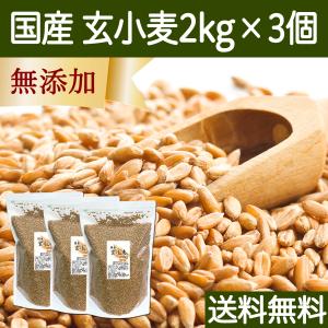 玄小麦 2kg×3個 全粒小麦 国産 北海道産 きたほなみ 業務用 食物繊維 送料無料｜hl-labo