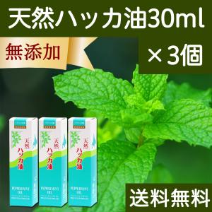 天然ハッカ油30ml×3個 スプレー式 ペパーミント商会 薄荷 オイル 無添加 送料無料｜hl-labo