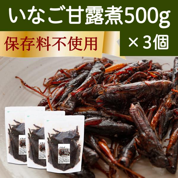 イナゴの佃煮 500g×3個 いなご 甘露煮 珍味 昆虫食 小えび 食感