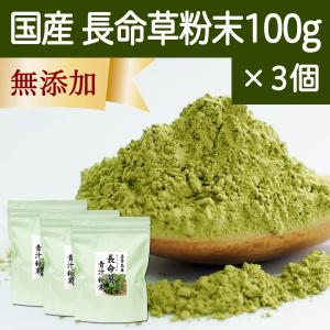 長命草粉末 100g×3個 長命草 パウダー 青汁 粉末 ボタンボウフウ 無添加