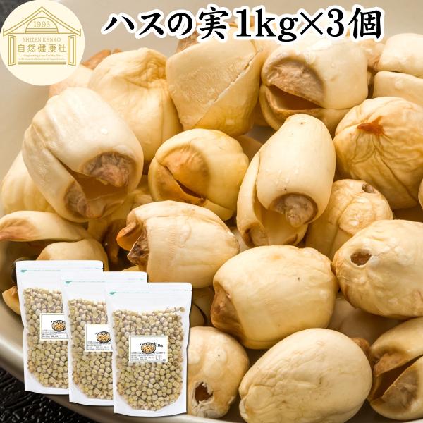 ハスの実 1kg×3個 蓮の実 はすの実 ドライ 無添加 餡に 無漂白