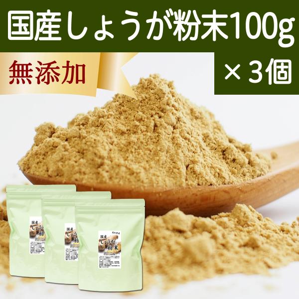 しょうが 粉末 100g×3個 生姜 パウダー ショウガ 粉末 国産