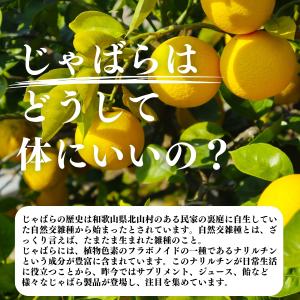 じゃばらパウダー 100g×3個 じゃばら サ...の詳細画像2
