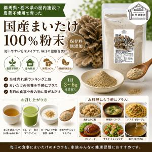まいたけ粉末 100g×3個 舞茸粉末 まいた...の詳細画像1
