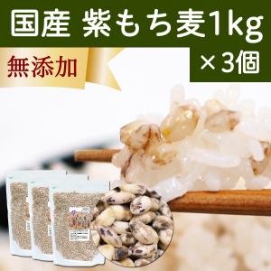 紫もち麦 1kg×3個 ダイシモチ もち麦 国産 愛媛県産 麦ごはんに｜hl-labo