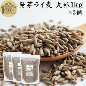 発芽ライ麦 丸粒 1kg×3個 全粒 モルト ライ麦パン 自家製パン 製パン 材料 ドイツ産｜青汁・健康粉末の健康生活研究所