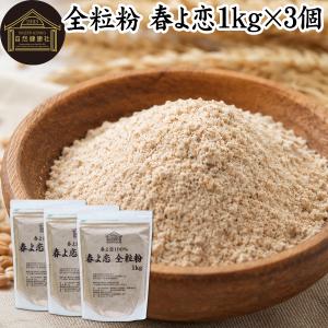 全粒粉 春よ恋 1kg×3個 来い 小麦粉 国産 強力粉 パン用 業務用