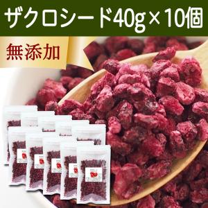 ザクロシード 40g×10個 ザクロの実 フリーズドライ ドライ 無添加