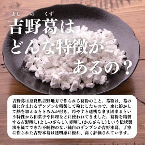 吉野葛粉末 1kg×10個 吉野本葛 本葛粉 ...の詳細画像2