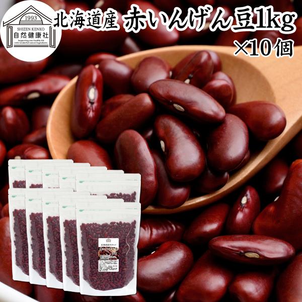 赤 いんげん豆 1kg×10個 金時豆 インゲン豆 レッドキドニー ビーンズ